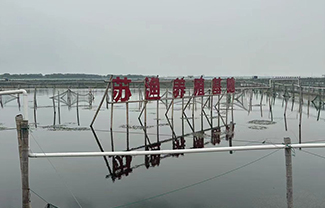 ��ֳ����չʾ