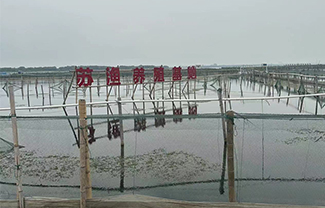 ��ֳ����չʾ