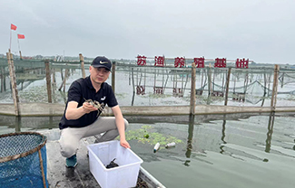 ��ֳ����չʾ